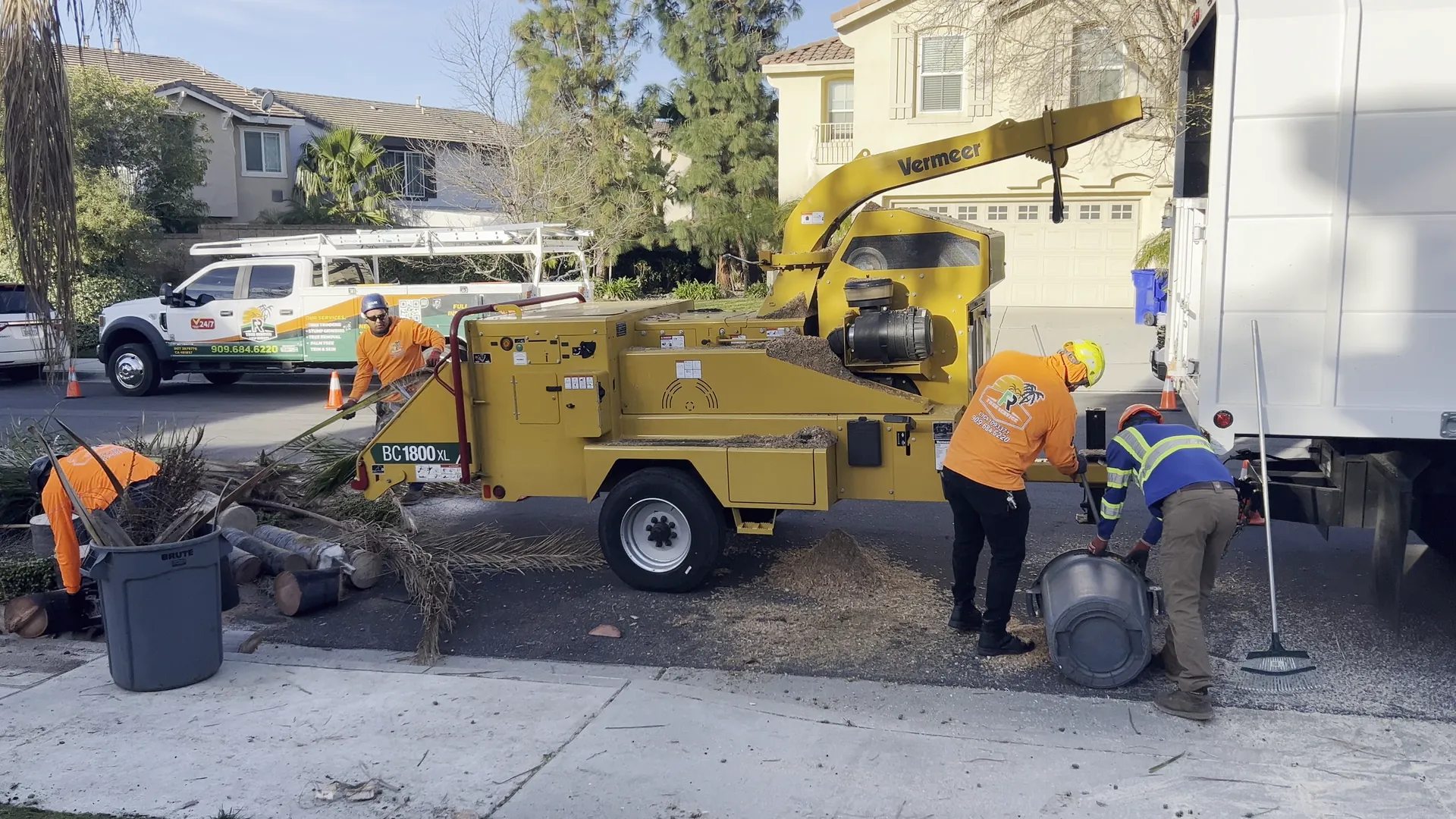 FR Tree Service crew chipping palm debris beside the company truck on a residential street