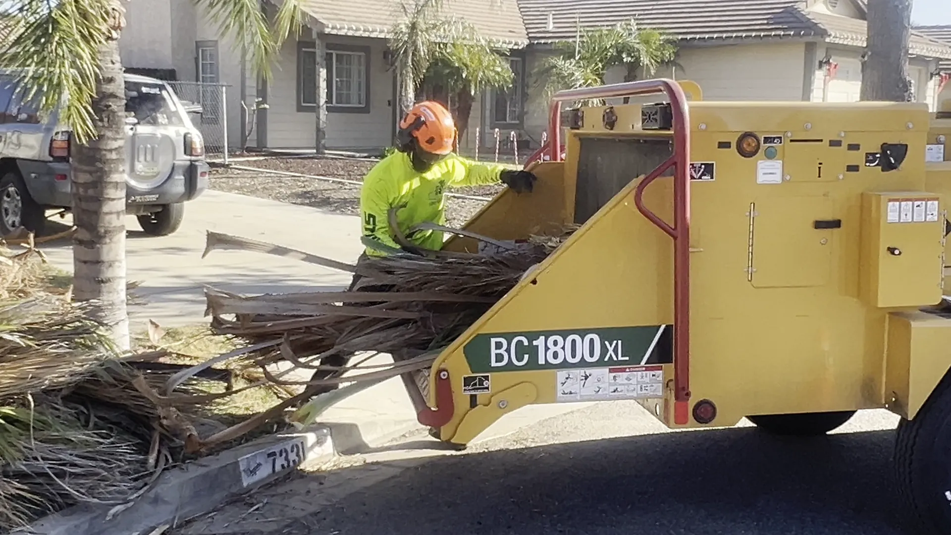 FR Tree Service crew member feeding palm fronds into a commercial wood chipper
