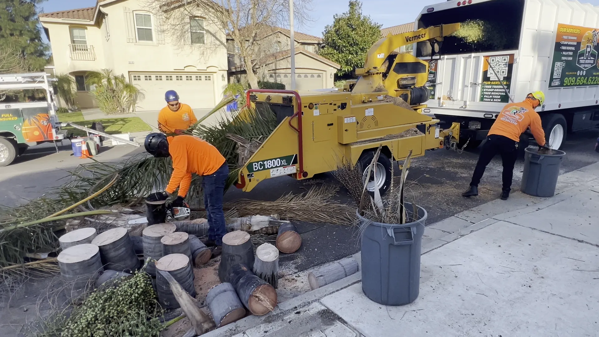 Crew cleaning up palm trunk rounds and fronds at the curb next to the chipper and truck