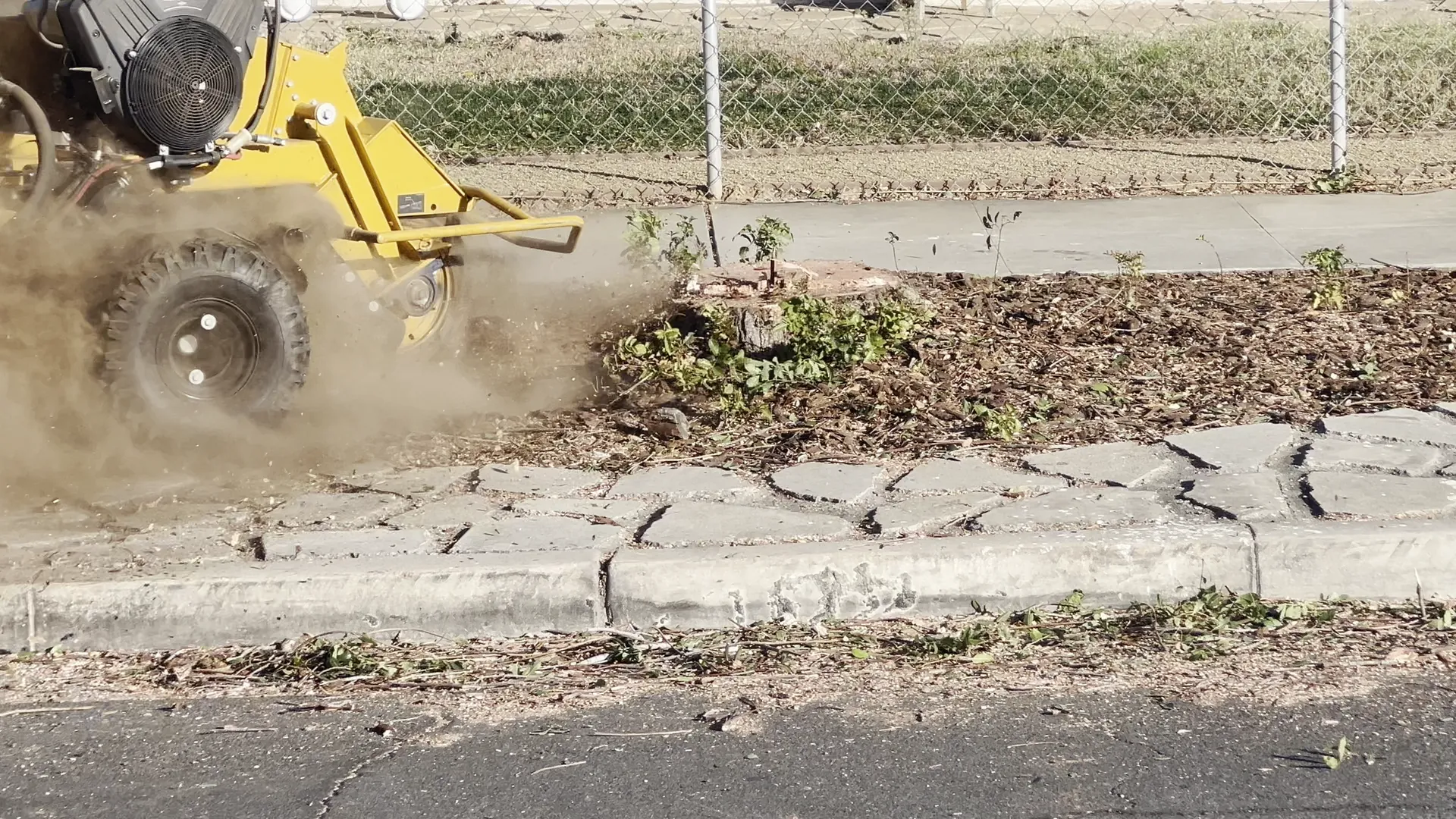 Stump grinder grinding a stump in a parkway strip
