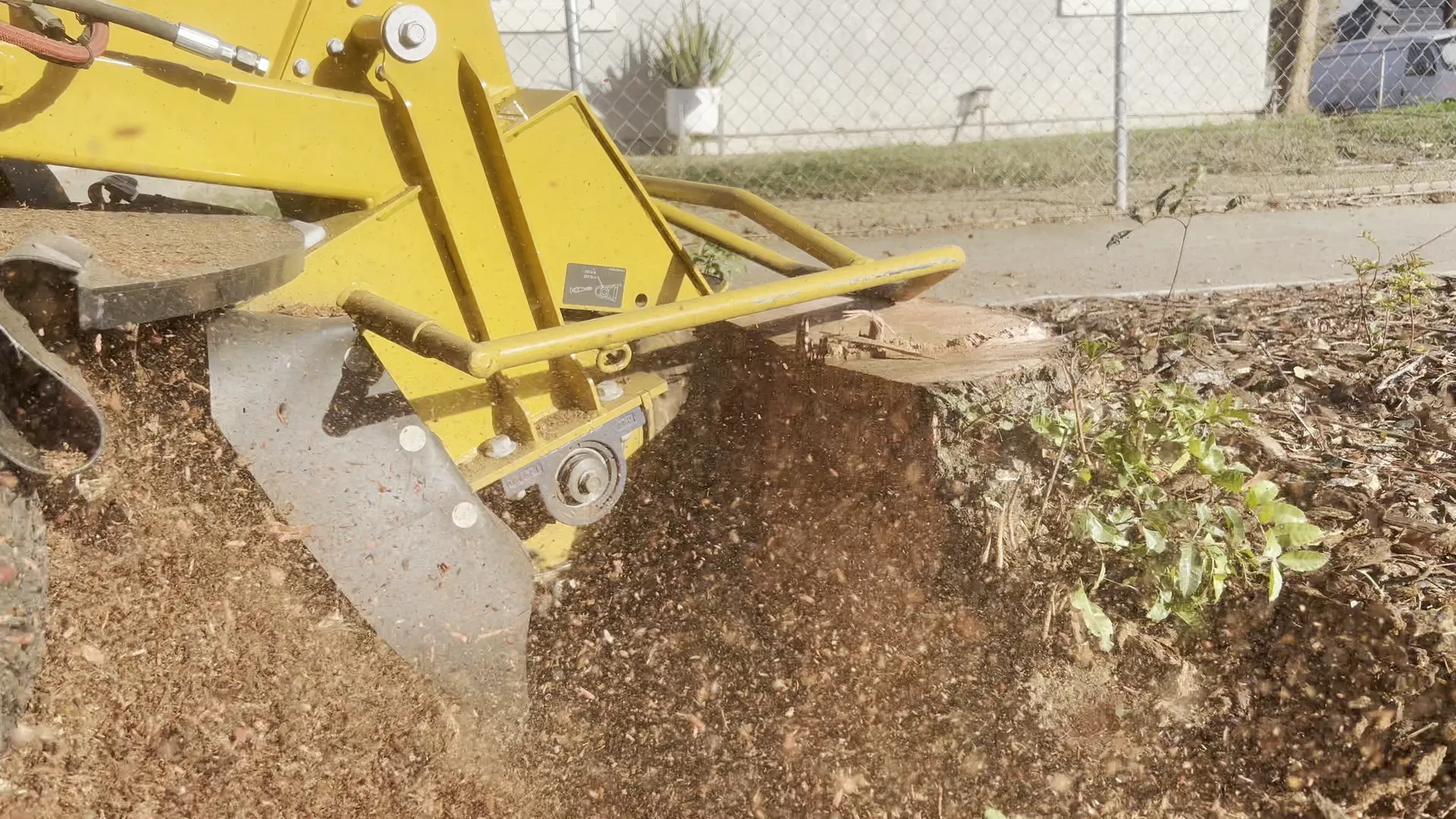 Close-up of a stump grinder wheel cutting into a stump