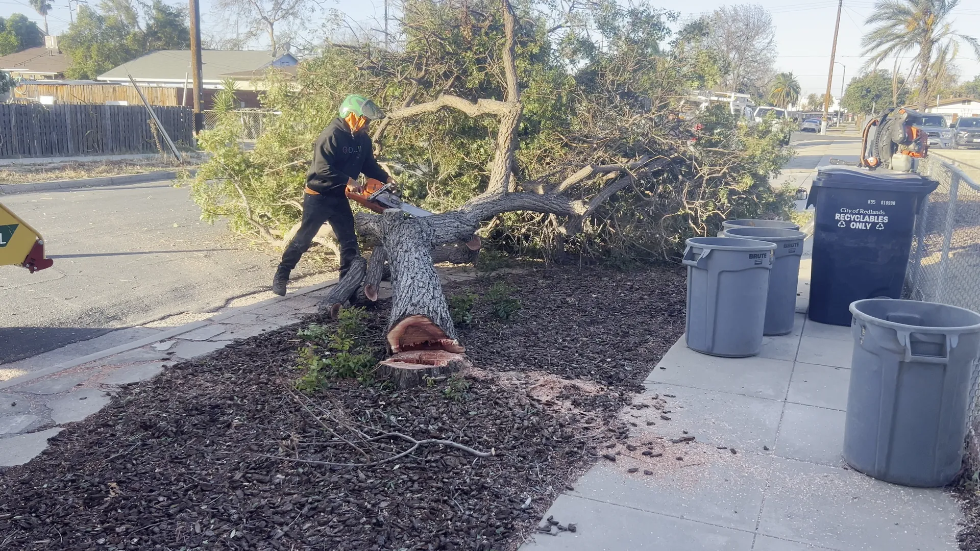 Crew member cutting up a removed tree beside a sidewalk